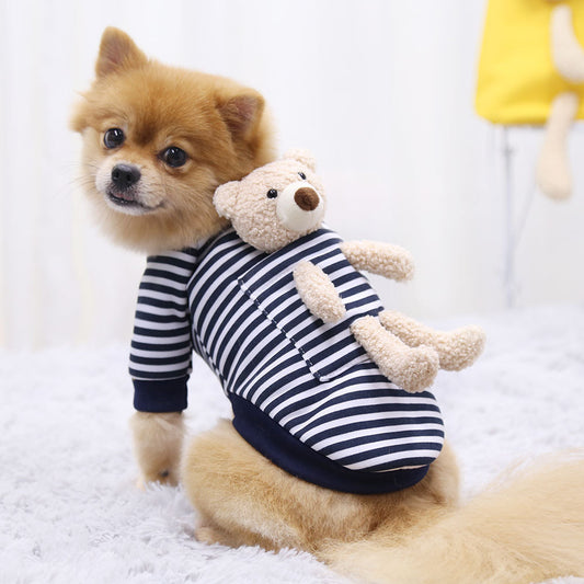 Sweater Spring Cat Cute Teddy Bear