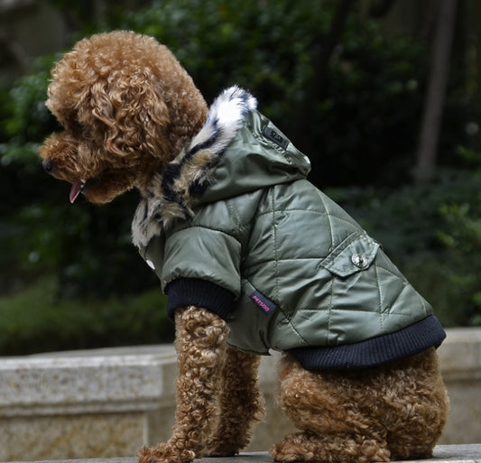 Cross-border Pet clothes