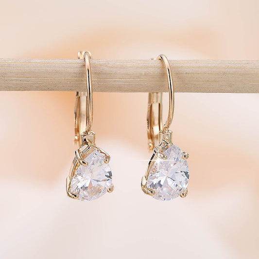 Simple Metal Fashion Earrings