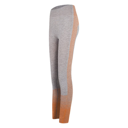 Gym High Waist Legging