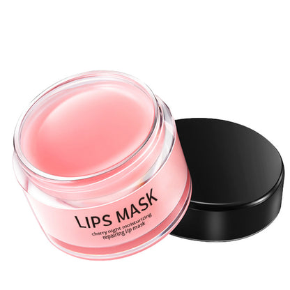 Skin Care Moisturizing Lip