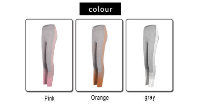 Gym High Waist Legging