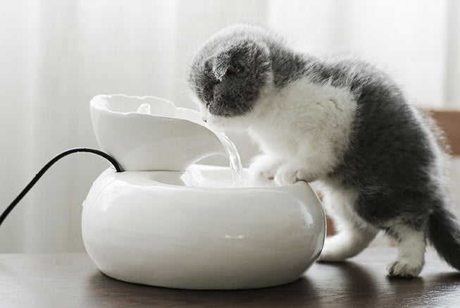 Ceramic Automatic Cat Leaf Water Dispenser