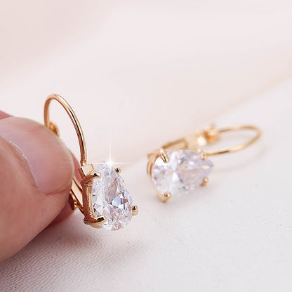 Simple Metal Fashion Earrings