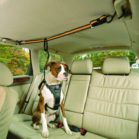 Pet Safety Belt Dual-Purpose